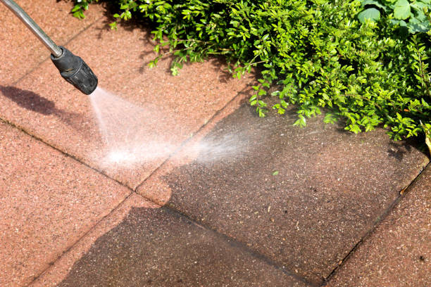 Best Pressure Washing Near Me  in Dos Palos, CA